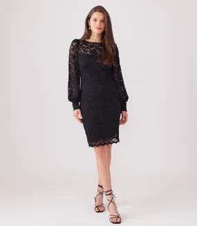 Petite Size Lace Boatneck Dress