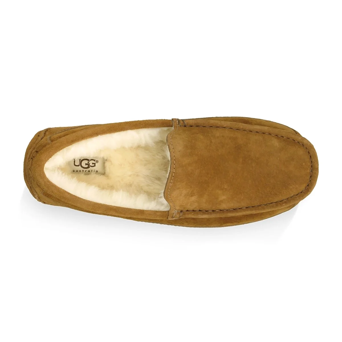 UGG Men's Ascot Chestnut Suede