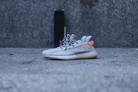 Yeezy 350 V2 True form (EG7492)